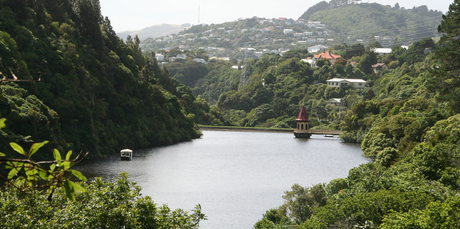 Lower dam lake at Zealandia. Former Auditor-General, Kevin Brady, has taken on the chairmanship of the interim board of Zealandia - Wellington's pest-free wildlife sanctuary. Photo / Mark Taylor/CNN