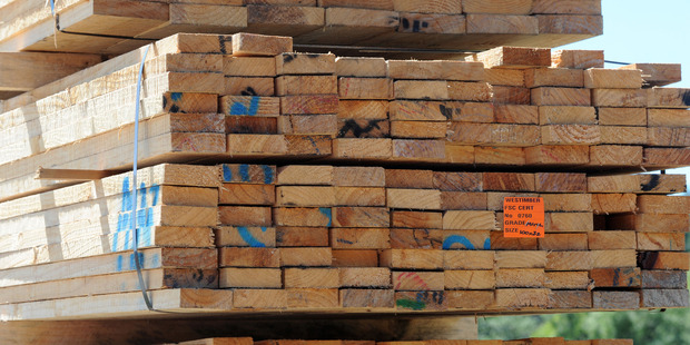 Wood products investor Rubicon's share price jumped to 26 cents this morning. Photo / Ross Setford