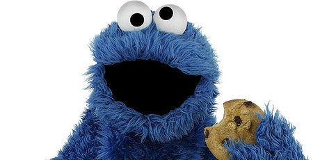 Cookie Monster says Tim Tams might be his new favourite biscuit. Photo / Supplied