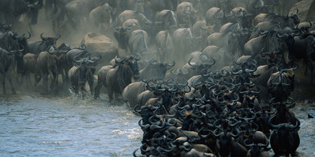 Photo / Thinkstock