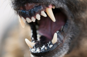 File photo / Thinkstock
