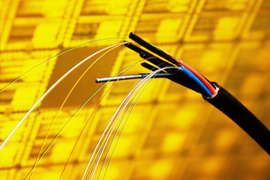 Photo / Thinkstock