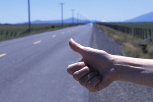 Photo / Thinkstock