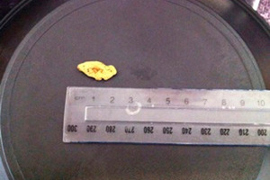 The nugget found by a tourist yesterday is worth about $500. Photo / Otago Daily Times