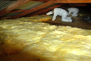 Homeowners are entitled to an insulation subsidy of up to $1300. Photo / Brett Phibbs