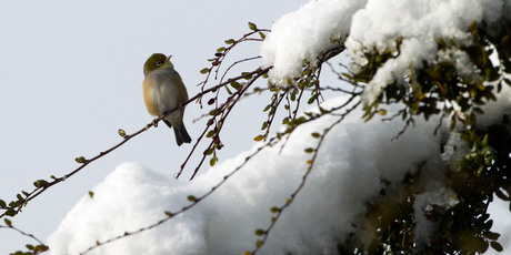 Yes, it has been freezing cold this month. Photo / Simon Baker