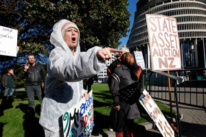 A protester decrying the sale of state assets at Parliament. On the same day, Government passed legislation underpinning plans for the sale of four state-owned energy companies. Photo / Mark Mitchell