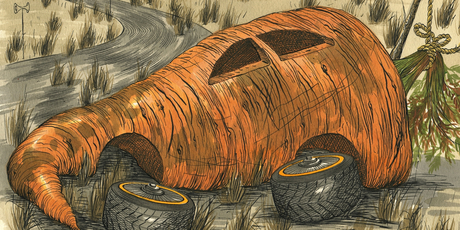 Illustration / Anna Crichton