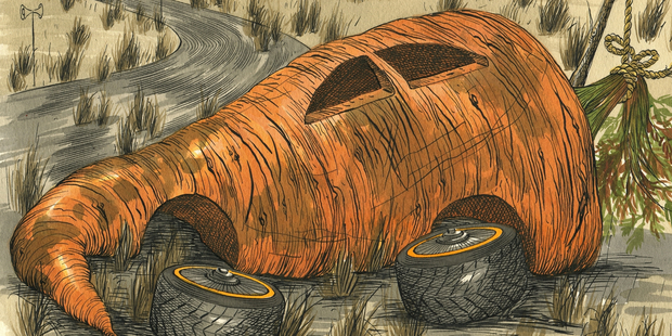 Illustration / Anna Crichton