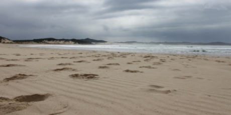 One Mile Beach at Port Stephens, New South Wales. Photo / Colin Espiner