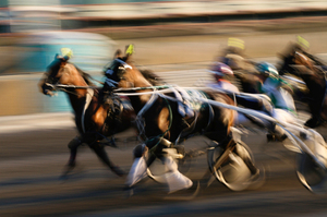 Injured driver Frank Cooney was placed in an induced coma to aid his recovery following a serious harness racing crash at Alexandra Park. Photo / Thinkstock