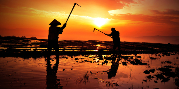 Experience the culture of southeast Asia without spending a fortune. Photo / Thinkstock