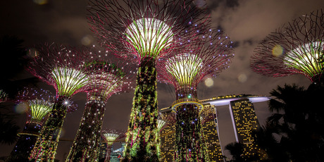 The Supertree Grove is lit against Singapore's skyline. Photo / Getty Images