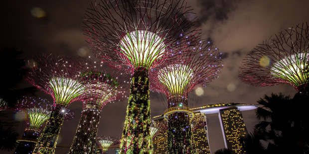 The Supertree Grove is lit against Singapore's skyline. Photo / Getty Images
