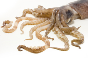 Photo / Thinkstock