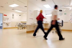 Test results showed traces of the bacteria in ready-to-eat meat products supplied to the Hastings hospital. Photo / Sarah Ivey.