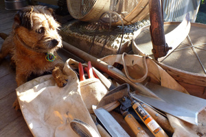 You'll be well rewarded for keeping your tools clean, oiled and sharp. Photo / Meg Liptrot