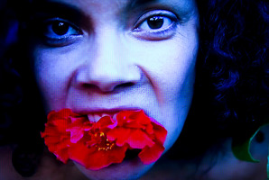 Rosa Sinensis by Angela Tiatia, at the Auckland Art Gallery. Photo / Steven McNicholl