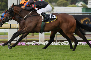 Rock'N' Pop could be one of the stars of the Gai Waterhouse stable this spring should he win the Epsom handicap. Photo / Getty Images