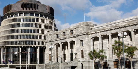 Parliament may be getting together again after a two-week break, however, a few MPs remain busy bees required to attend engagements away from home. Photo / Mark Mitchell