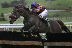 Afternoon rain could have led to bad visibility for jockeys. Photo / Alan Gibson