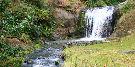 Strollers new to Oakley Creek Walkway are surprised and delighted by its lovely waterfall. Photo / Martin Sykes