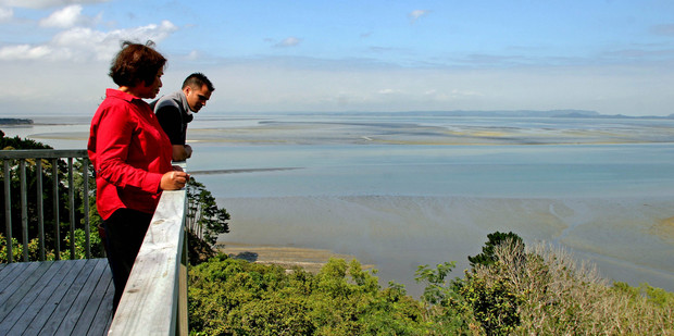 Puketapapa Coast offers some lovely views of both bush and water. Photo / NZ Herald