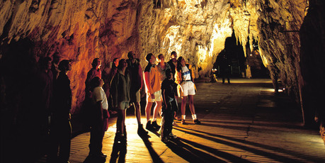 Tower has increased its stake in Tourism Holdings, which operates the Waitomo Glowworm Caves. Photo / APN