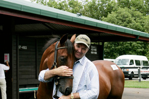 Hall of Fame trainer David Hayes. Photo / Wayne Drought