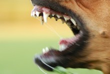 File photo / Thinkstock