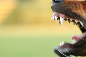 File photo / Thinkstock