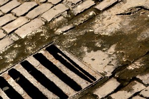 Photo / Thinkstock