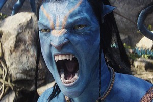 An Avatar sequel is four to five years away. Photo / Supplied