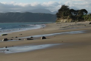 Opononi Beach on the Hokianga Harbour. Photo / APN