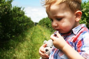 Getting a taste of the fresh bounty ready and waiting for eager foragers. Photo / Bronwyn Sell