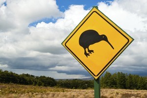 A percentage of .kiwi domain purchase prices will go towards the rebuilding of Christchurch. Photo / Thinkstock