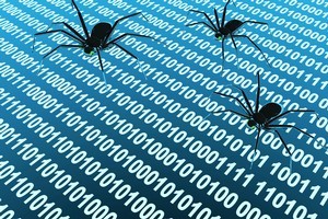 Photo / Thinkstock