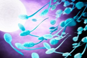Sperm donors are in heavy demand. Photo / Thinkstock