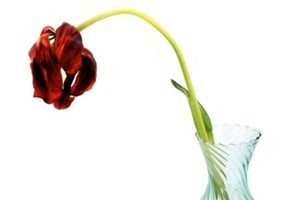 Viagra can have the same effect on a wilting bouquet.
Photo / Thinkstock