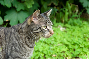 Photo / Thinkstock