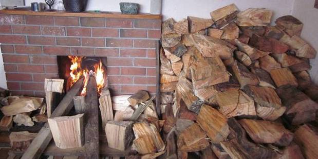 The Fire Service was sent this safety shocker from a council officer. Photo / Supplied
