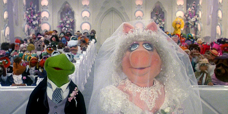 Gay marriage is out, but creature nuptials are OK. Photo / Supplied