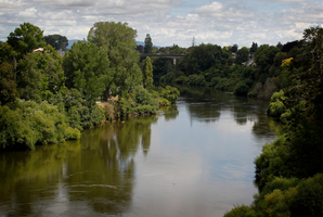 The plan aims to improve the quality of the Waikato (pictured) and Waipa rivers. Picture / Christine Cornege.
