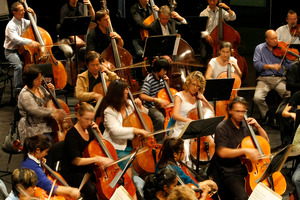 The Auckland Philharmonia Orchestra can be world class, as the recent concert featuring opera superstar Christine Brewer showed. Photo / Steven McNicholl