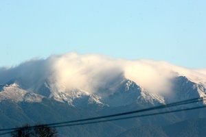 A missing tramper was rescued in the Tararua Ranges. Photo / File