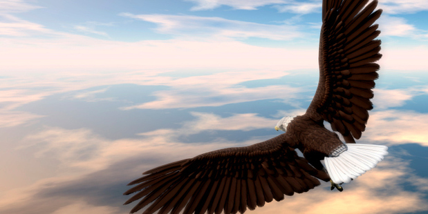 Photo / Thinkstock