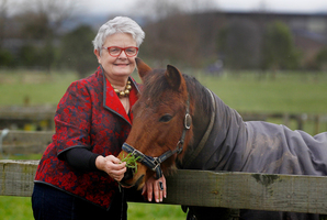 Over the past 22 years Sandra Shearer has travelled throughout New Zealand investigating complaints about horse welfare. Photo / Christine Cornege