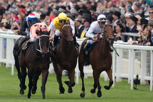 Was this her swansong? Black Caviar (left) makes it 22 wins from 22 starts in the Diamond Jubilee Stakes at Ascot in June. Photo / AP