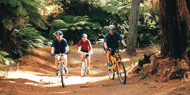 The Whakarewarewa Forest has trails for everyone from beginners to experienced mountain bikers. Photo / Supplied