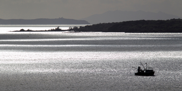 Marine reserves are essential for protecting biodiversity, yet they are usually opposed by fishers. Photo / Paul Estcourt